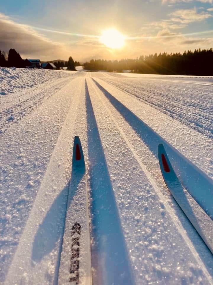 Chata Zulova Stran Janov nad Nisou Exteriér fotografie