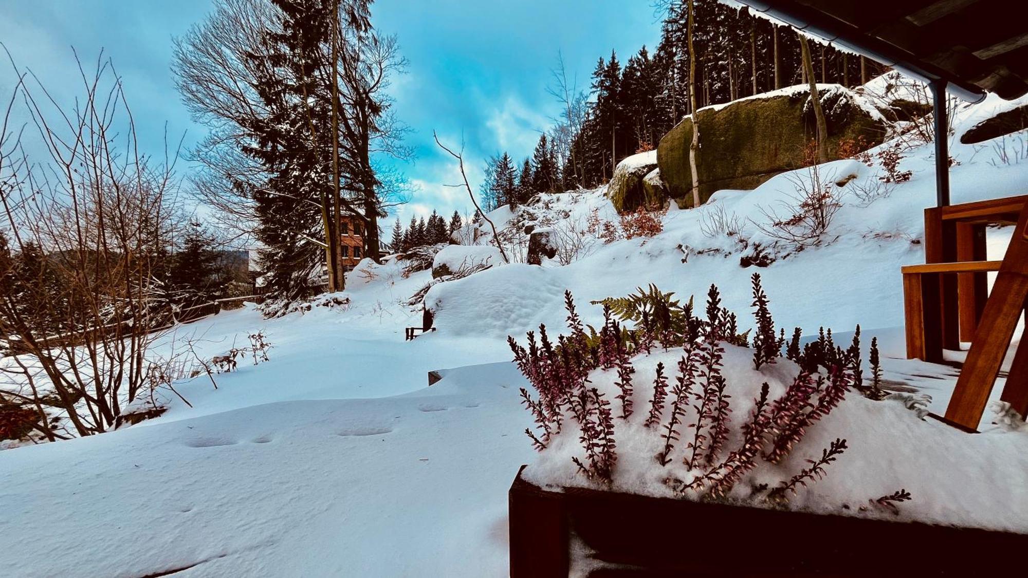Chata Zulova Stran Janov nad Nisou Exteriér fotografie